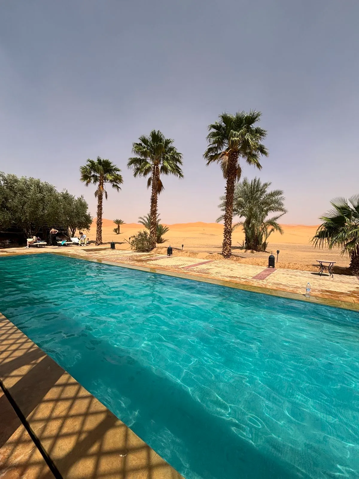 Desert & Marrakech Escape