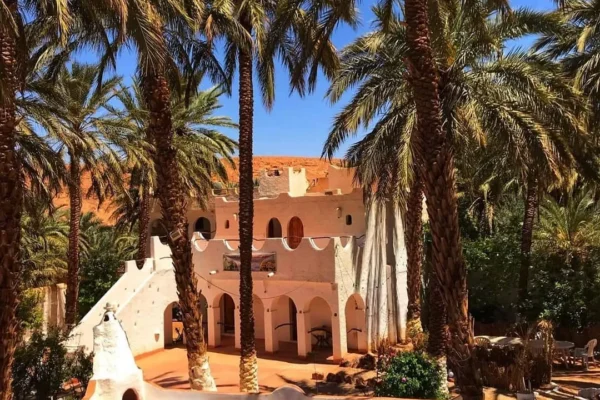 Fint Oasis Day Trip from Ouarzazate – Palm Groves & Berber Villages