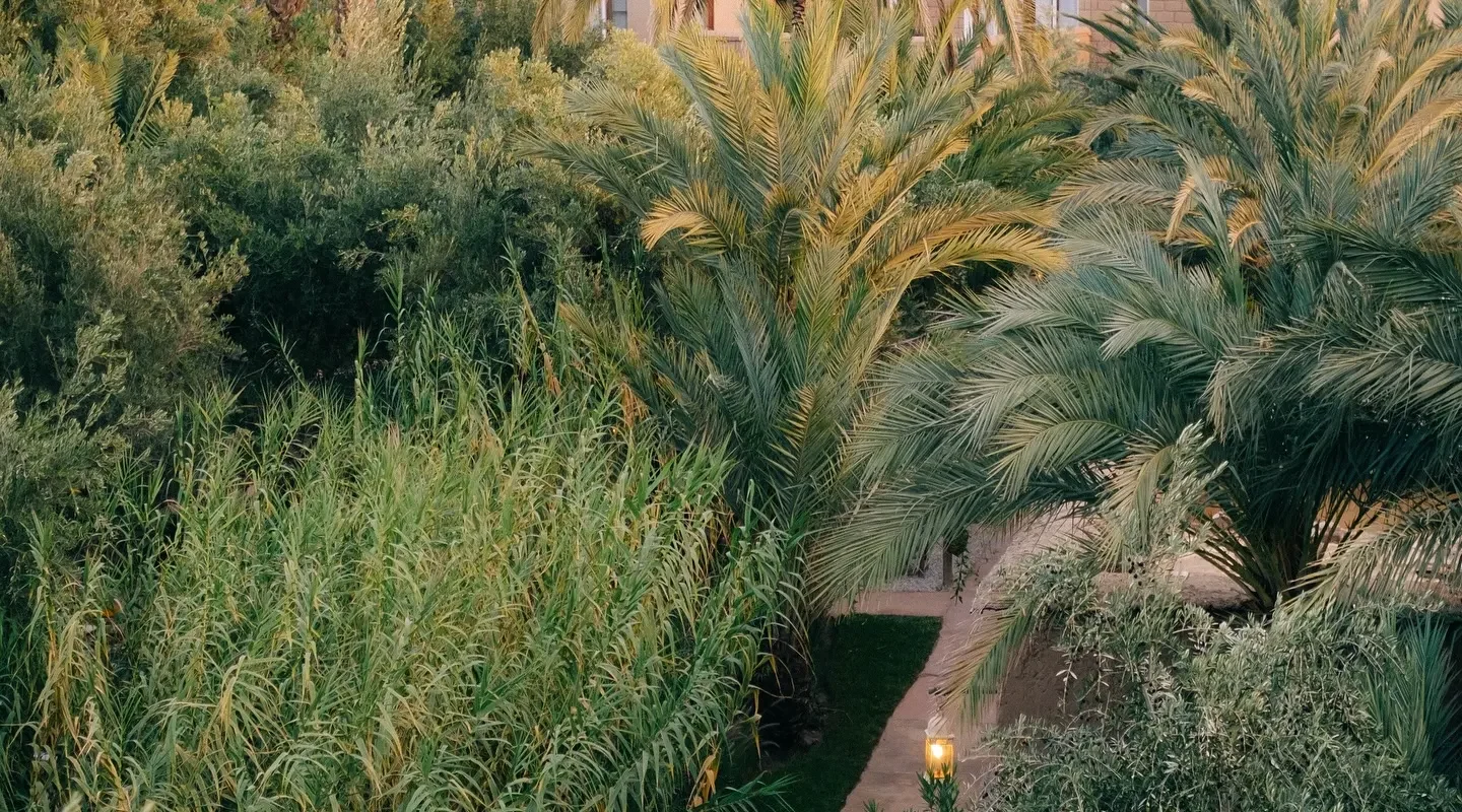 Skoura Palm Grove Cycling Tour – Date Palms, Kasbah Ruins & Oasis Paths
