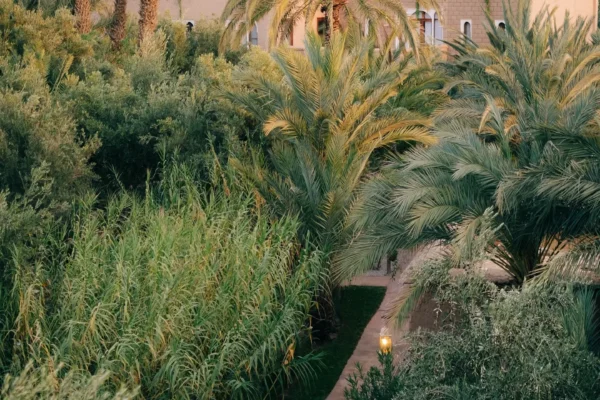 Things to see in Skoura - Photo 4 of 6