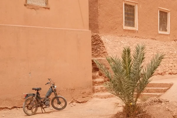 Skoura Oasis & Kasbah Amridil Guided Tour – Palm Grove Heritage Experience