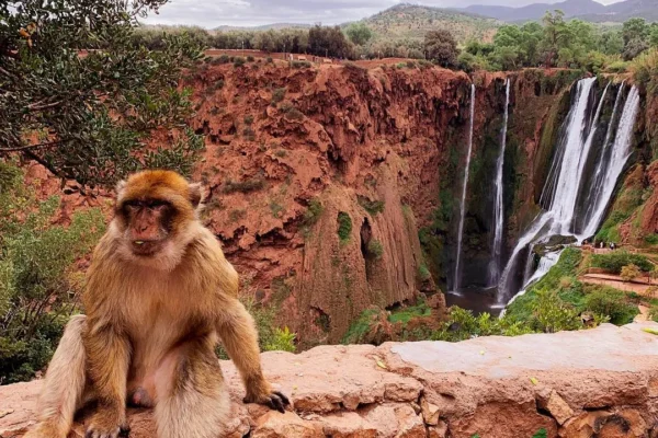 Ouzoud Waterfalls Tour with Berber Lunch – Riverside Restaurant Option