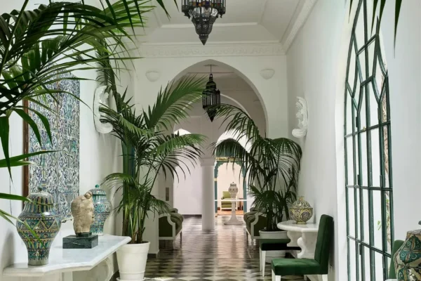 Café Hafa & Grand Socco Cultural Walking Tour – Tangier